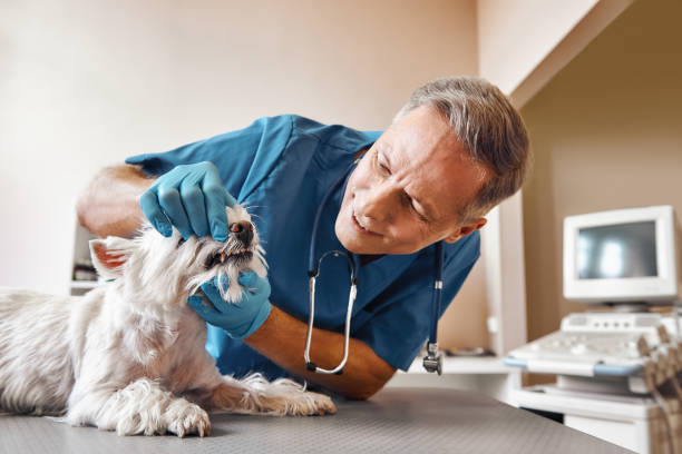 Best Pediatric Emergency Dentist in Woodcliff Lake, NJ